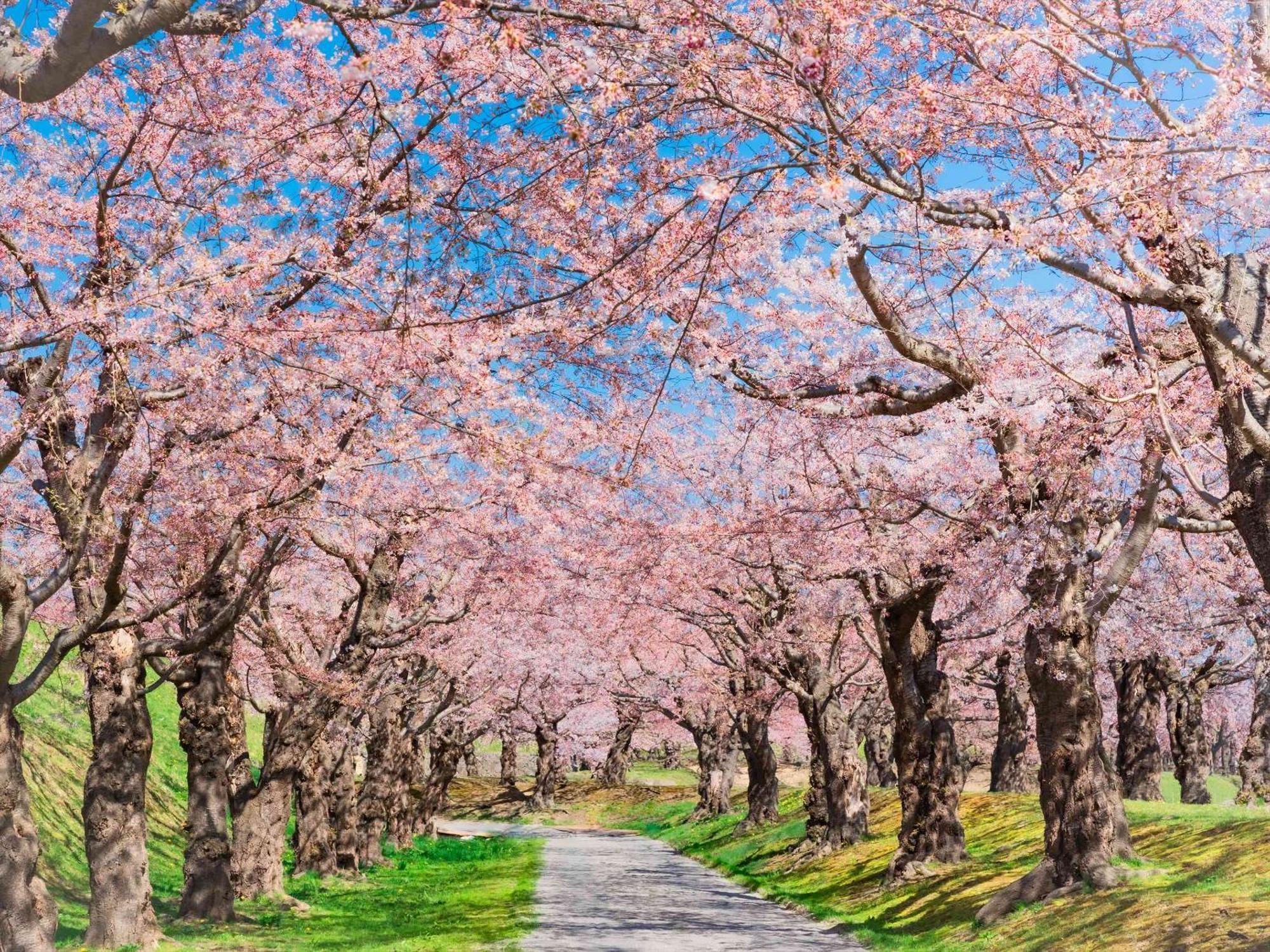 Gran Palette Hakodate Zewnętrze zdjęcie